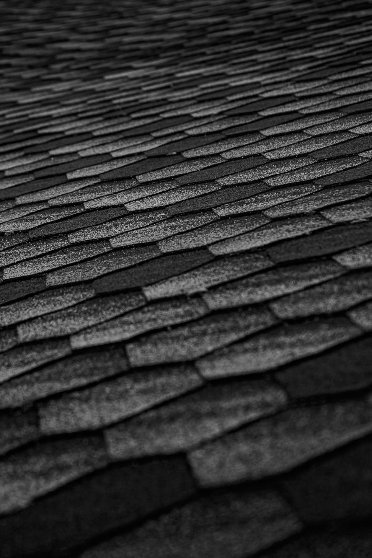 Close-up of asphalt shingles being inspected for repair, Faircloth Roofing
